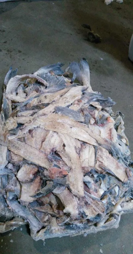 рыбные отходы от 20 тонн в сутки  в Омске