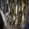 остатки рыбного производства в Кемерово и Кемеровской области 3